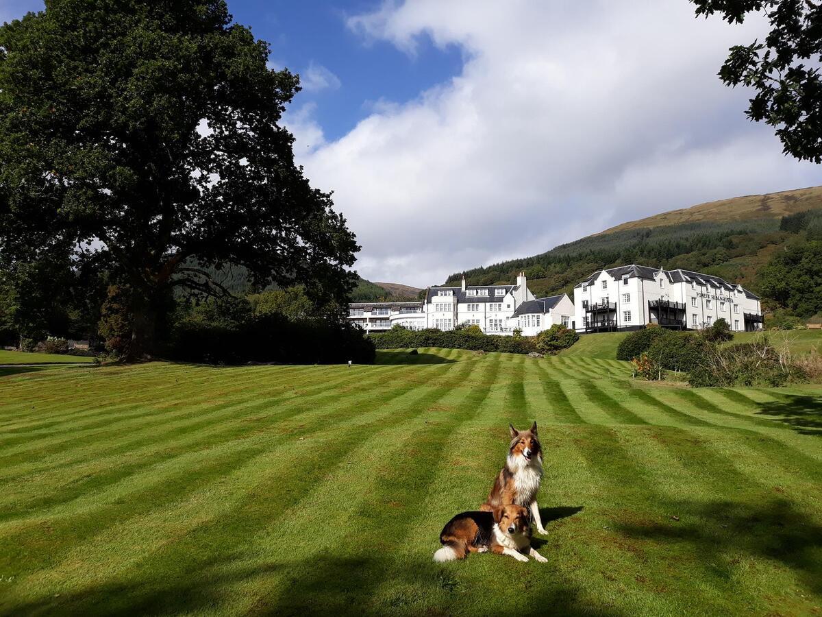 Macdonald Forest Hills Resort Aberfoyle  Luaran gambar